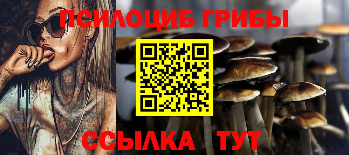 Галлюциногенные грибы прущие грибы  Вход с VPN  Астрахань 