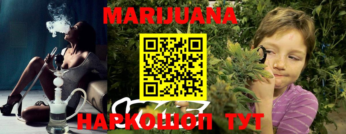 Каннабис индика Астрахань